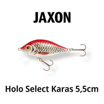 Воблер Jaxon Holo Select Karas 5,5cm.